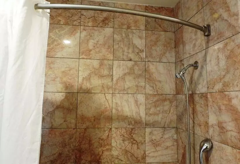 ホテル Stanford Motor Inn