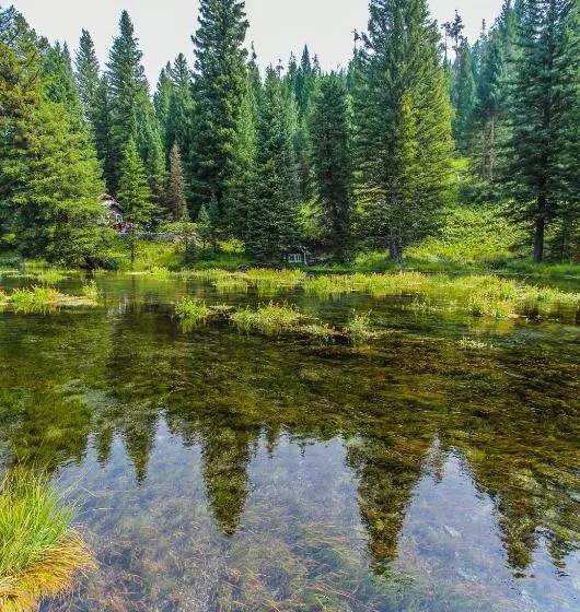 Отель Timbers At Island Park