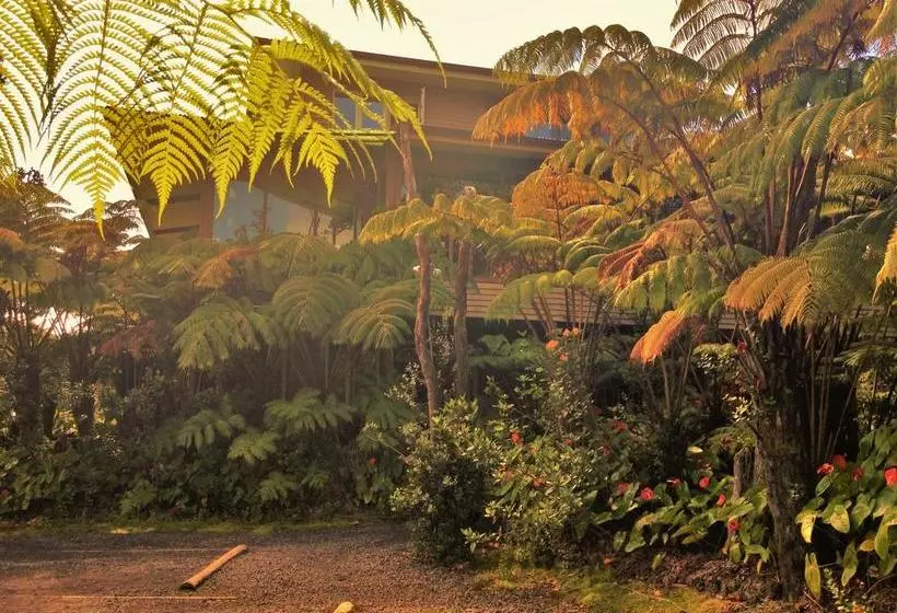 تختخواب و صبحانه Volcano Inn