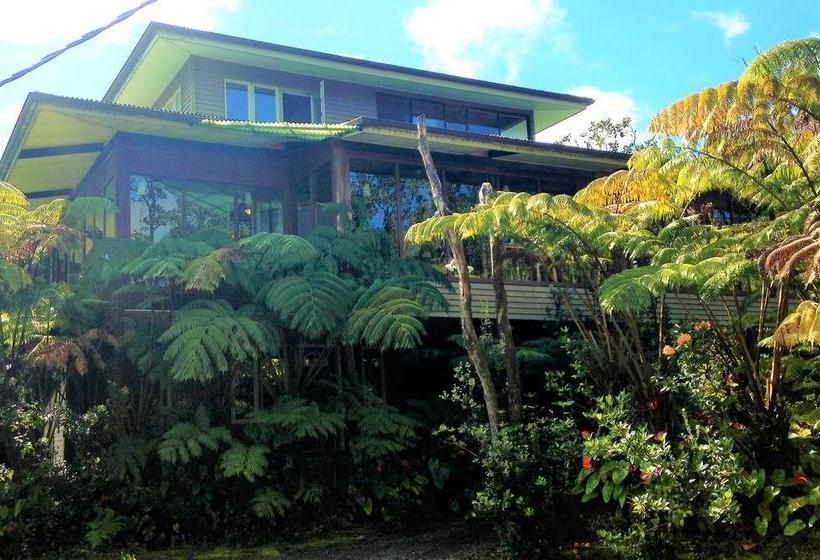 Bed and Breakfast Volcano Inn