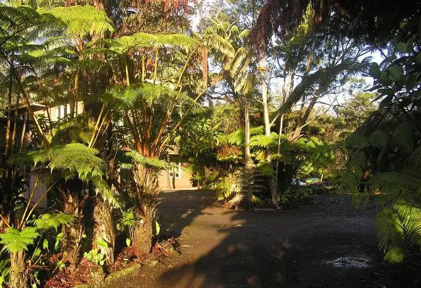 تختخواب و صبحانه Volcano Inn