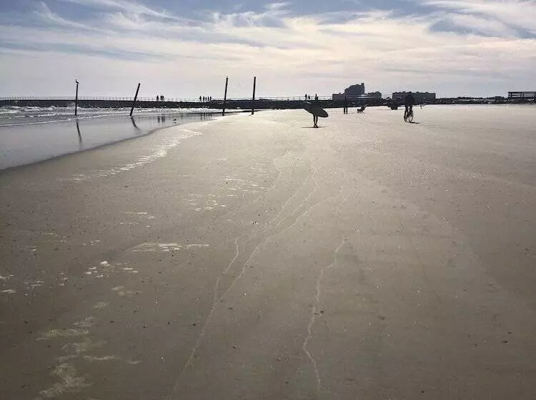 모텔 Beachside Hotel   Daytona Beach   No Pool