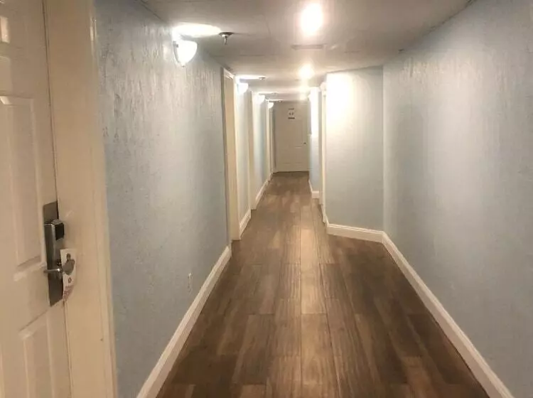 모텔 Beachside Hotel   Daytona Beach   No Pool