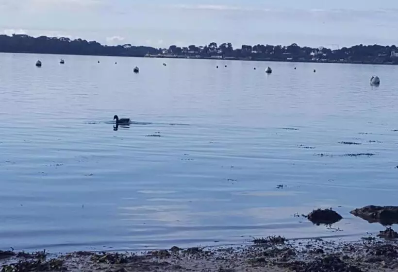 Aamiaismajoitus (B&B) Au Plaisir D’accueillir