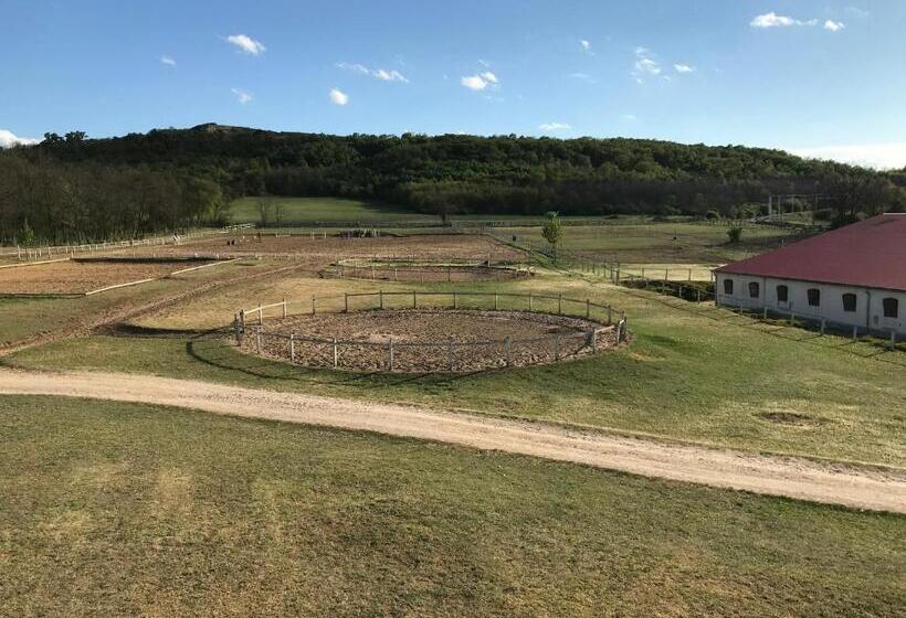 住宿加早餐 Prosper Lovasklub Panzió