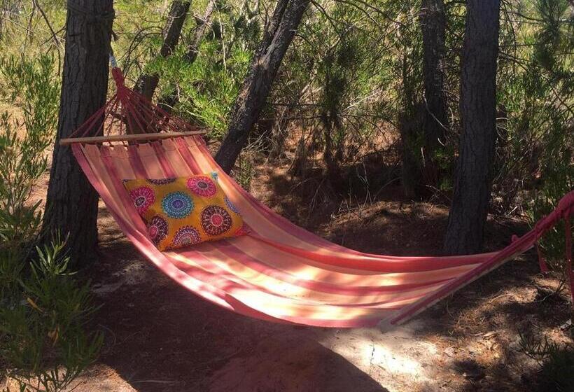 Отель Alpha Excelsior Guest Farm