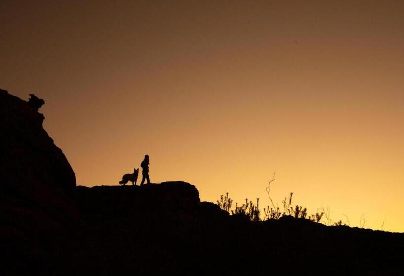 Отель Alpha Excelsior Guest Farm