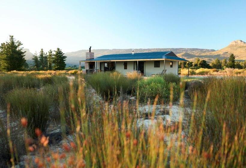 Отель Alpha Excelsior Guest Farm