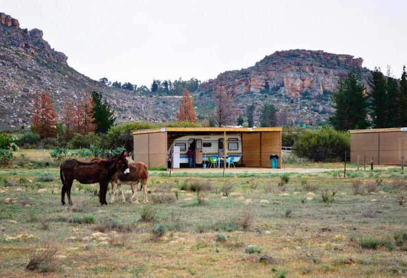 Отель Alpha Excelsior Guest Farm