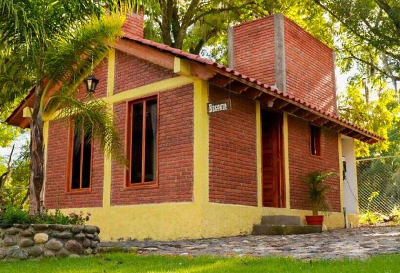 Otel Cabanas Del Bosque By Rotamundos