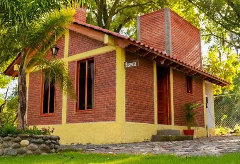 Hotelli Cabanas Del Bosque By Rotamundos