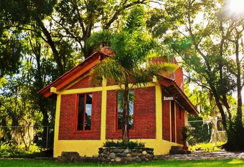 Hotelli Cabanas Del Bosque By Rotamundos