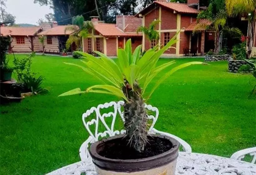 Hotelli Cabanas Del Bosque By Rotamundos