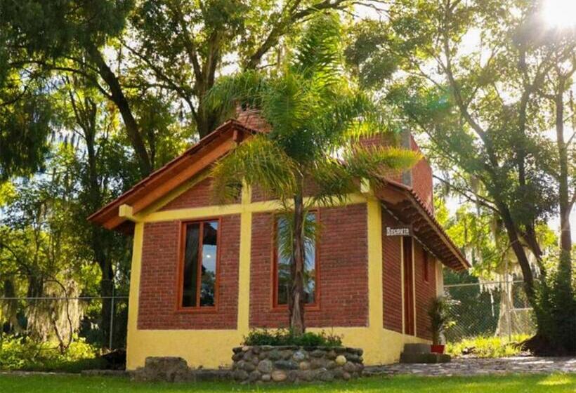 Otel Cabanas Del Bosque By Rotamundos