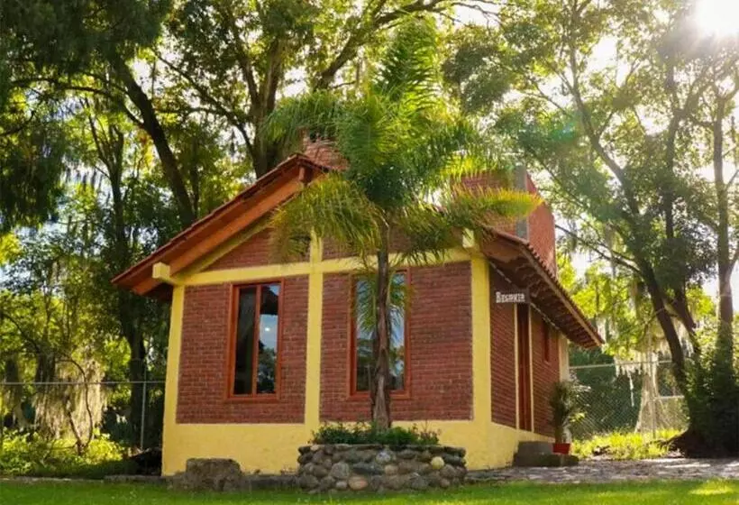 Hotelli Cabanas Del Bosque By Rotamundos