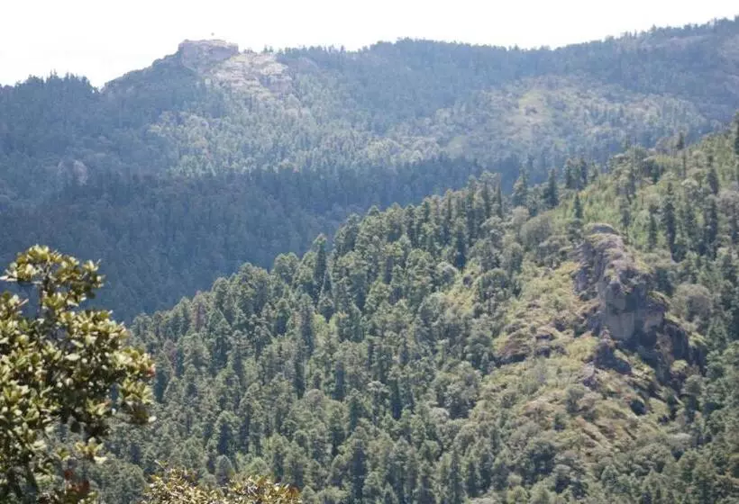 Hotelli Cabanas Del Bosque By Rotamundos