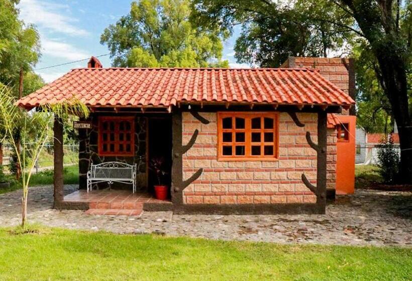 Otel Cabanas Del Bosque By Rotamundos