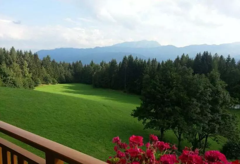 ホテル Pension Barzaunerhof