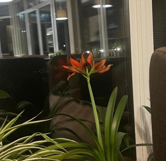 モーテル Sofiivka