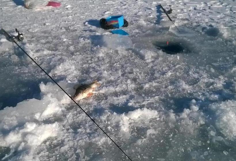 پانسیون Casa Edy