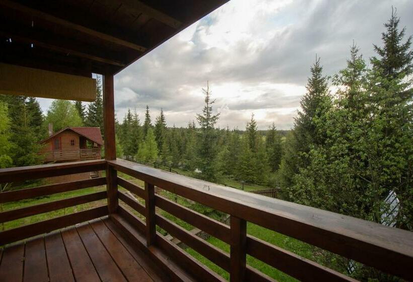 ペンション Pensiunile Zori De Zi și Apus De Soare