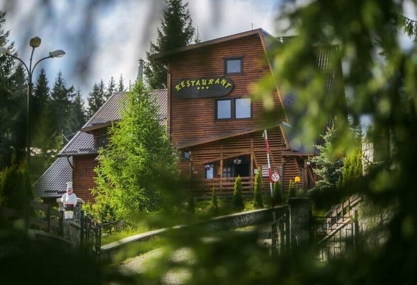 ペンション Pensiunile Zori De Zi și Apus De Soare