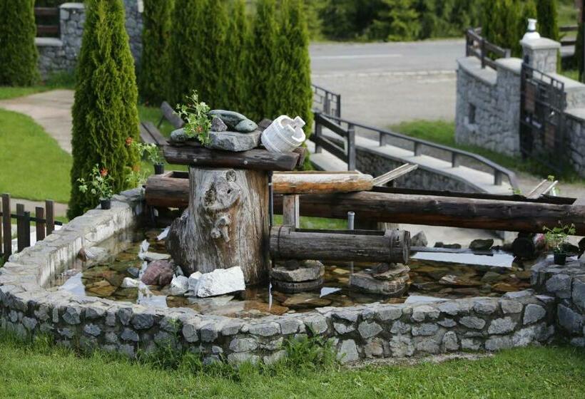 ペンション Pensiunile Zori De Zi și Apus De Soare