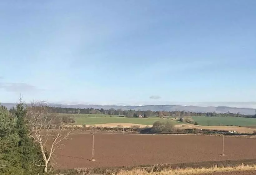Lomakeskus Beech Hedge