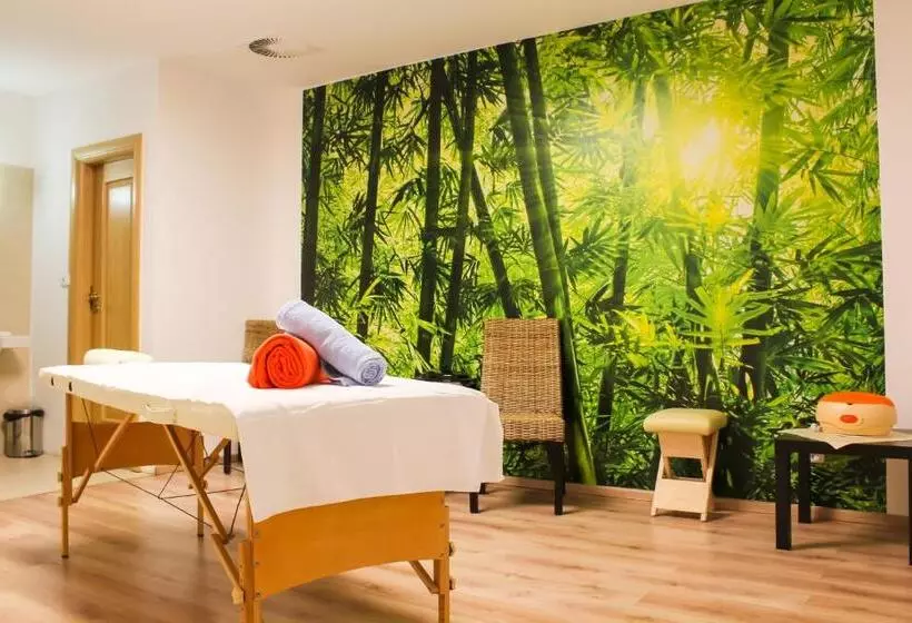 Wellness Hotel Lužan