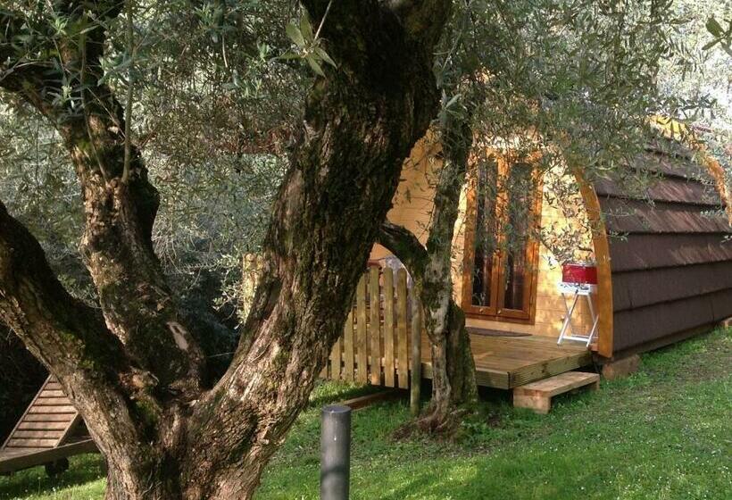 Bed and Breakfast Igloo Mobil Home