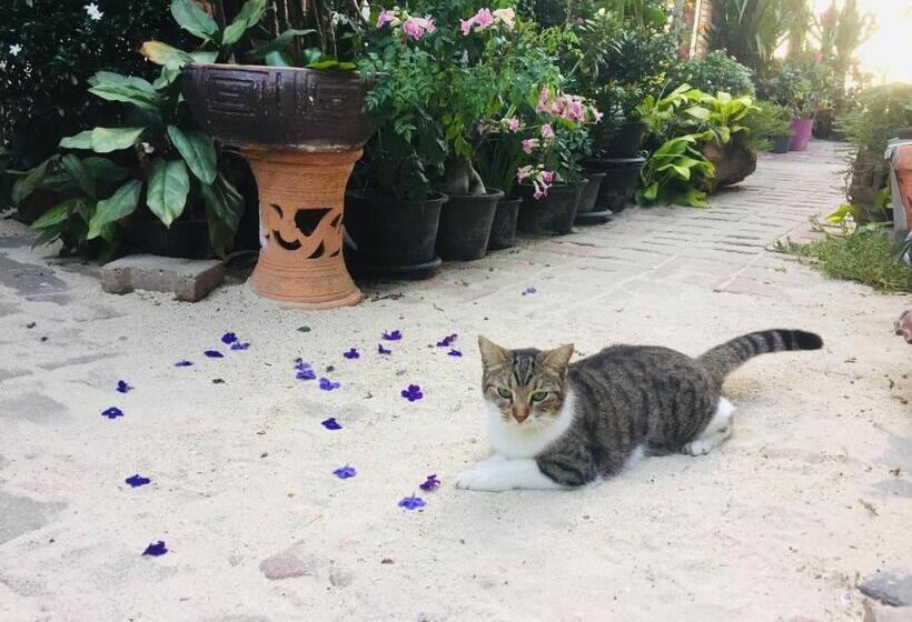 Resort Dee Dee Sea Front