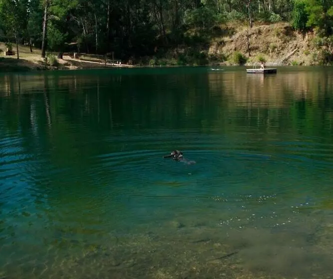 ホテル The Harrietville Snowline