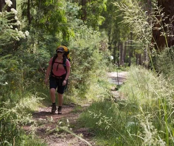 ホテル The Harrietville Snowline
