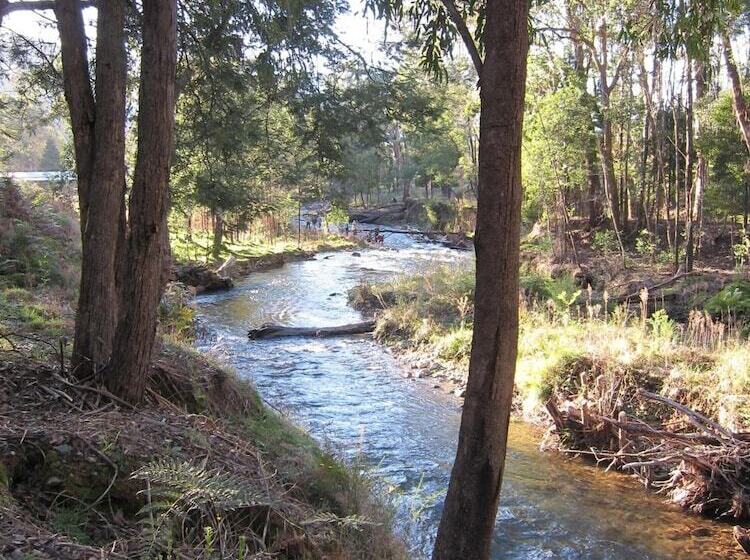 ホテル The Harrietville Snowline