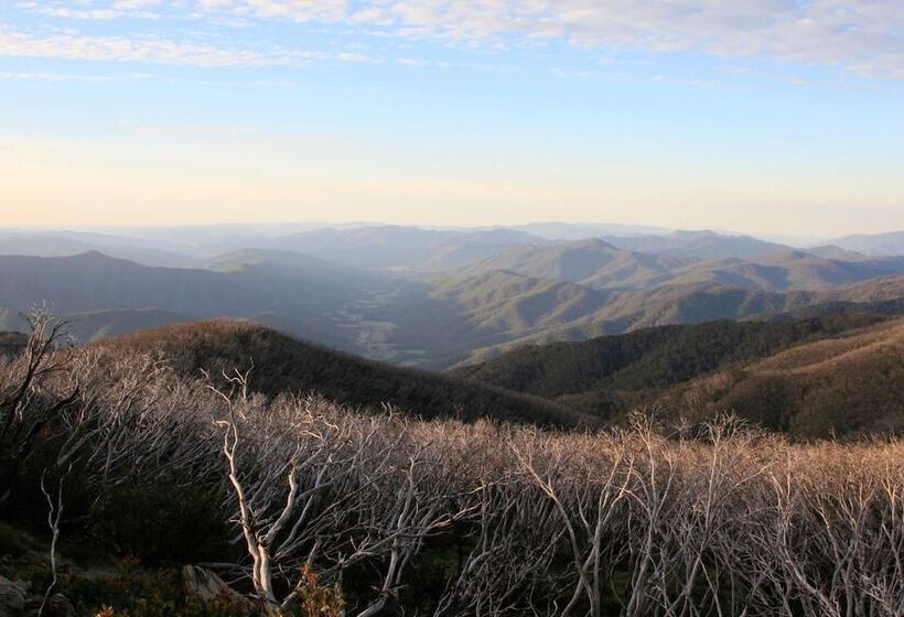ホテル The Harrietville Snowline