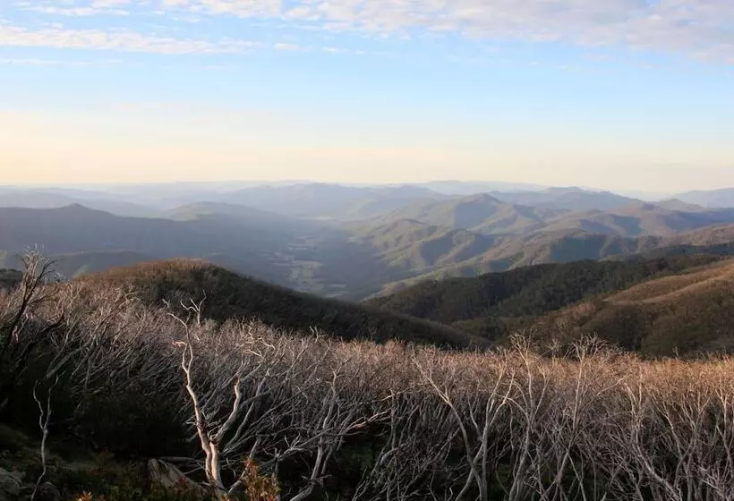 ホテル The Harrietville Snowline