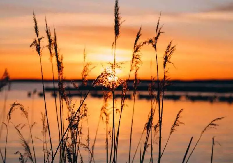 ベッドアンドブレックファースト Mormors Pensionat Strandhagen