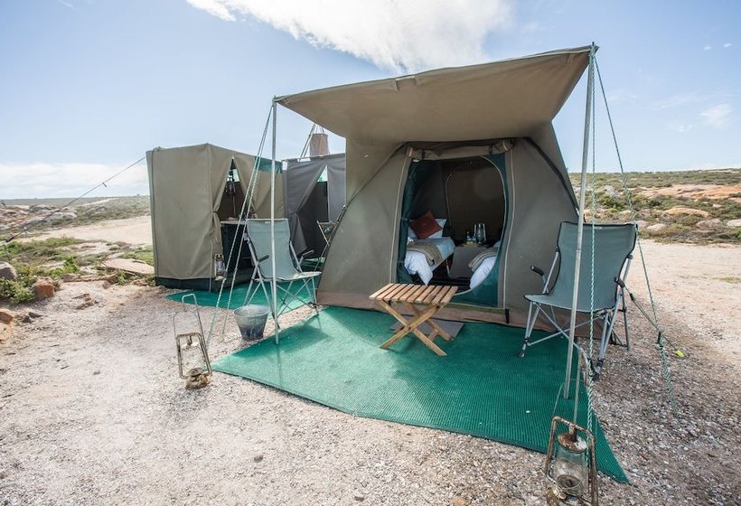 בית מלון כפרי Chiefs  Namaqua Flower Camps