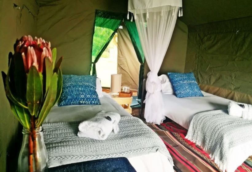 בית מלון כפרי Chiefs  Namaqua Flower Camps