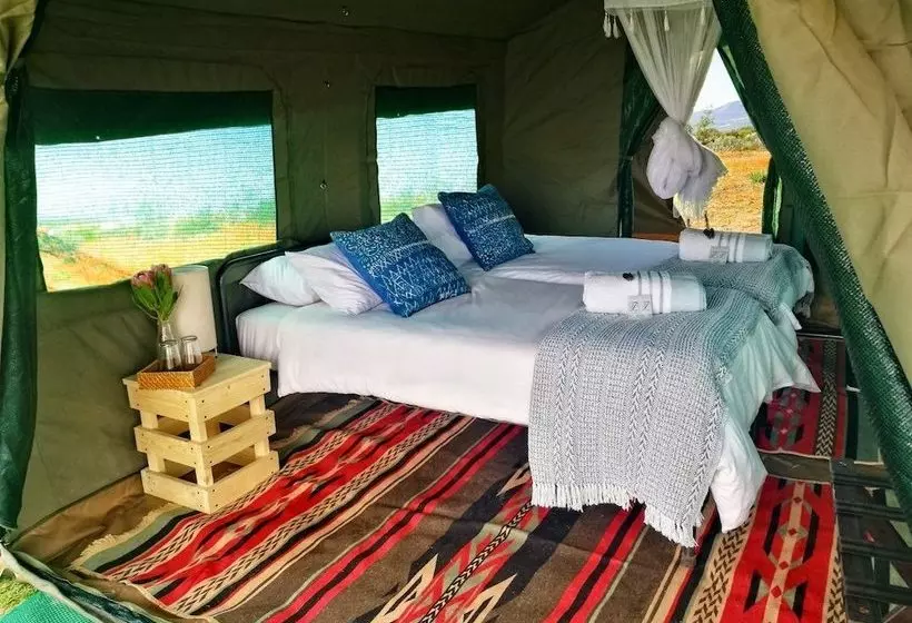 ホテル Chiefs  Namaqua Flower Camps