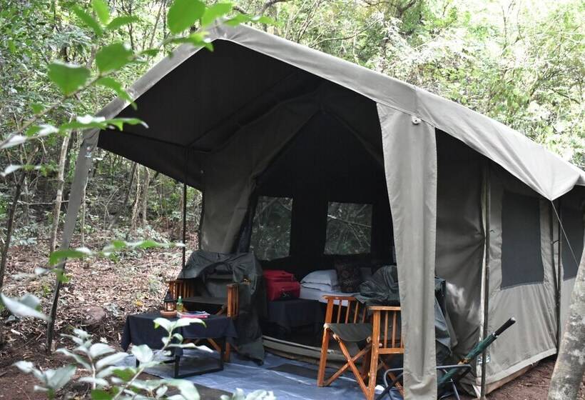 Hotel Explorer By Eco Team   Knuckles