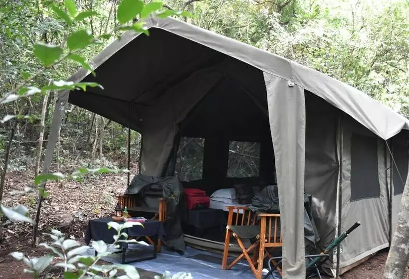 Hotelli Explorer By Eco Team   Knuckles