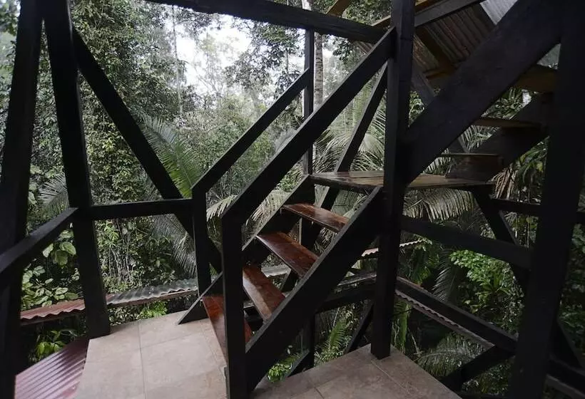 ホテル Jamu Lodge