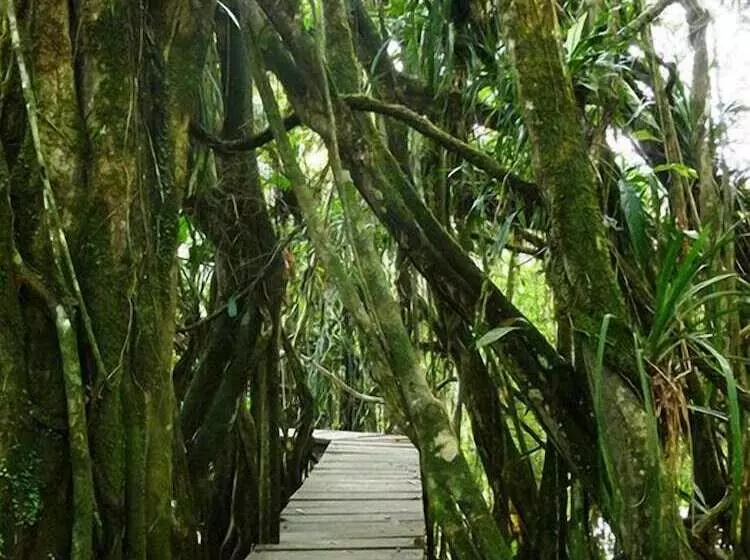 ホテル Jamu Lodge