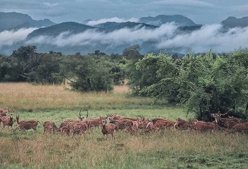 ホテル Mapakada Village