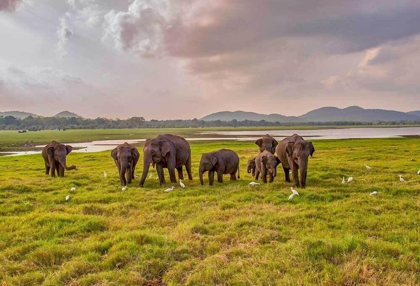 فندق Mapakada Village