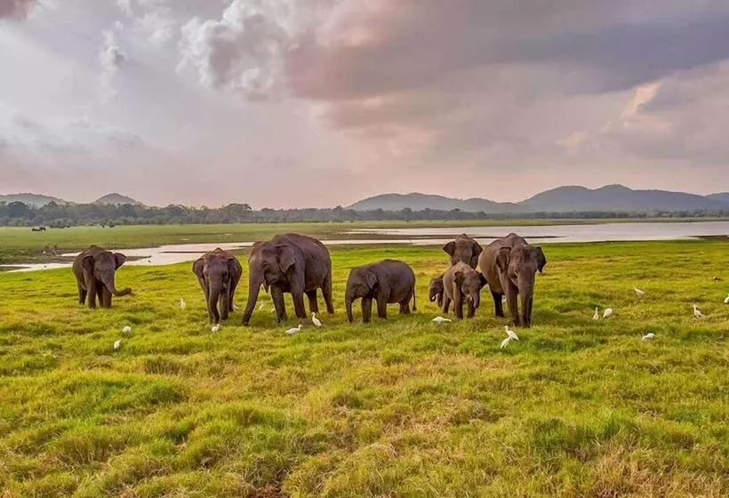 ホテル Mapakada Village