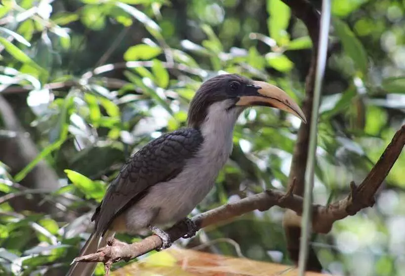 Hotelli The Glenrock