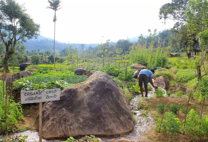 Hotelli The Glenrock