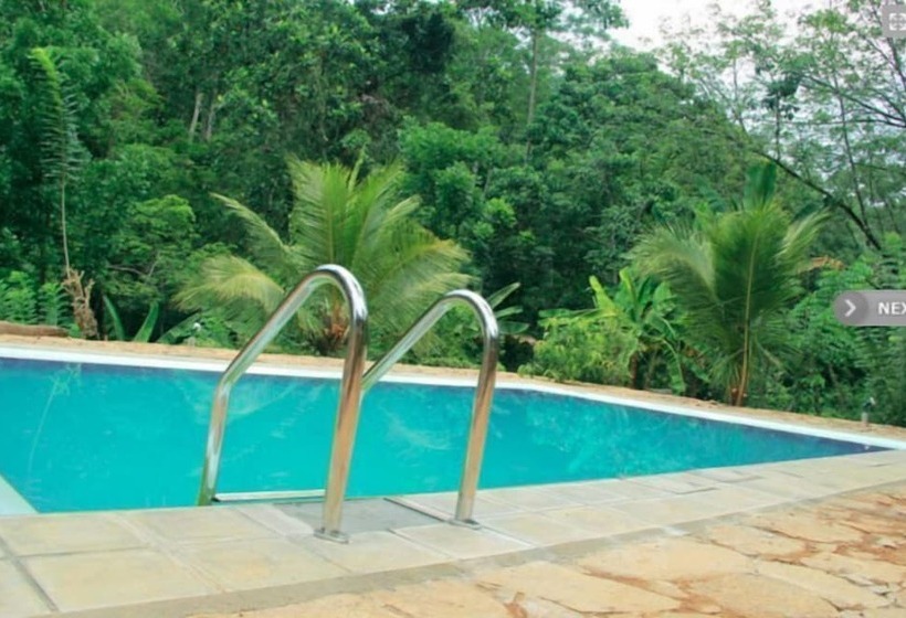 Hotel The Wild Spring